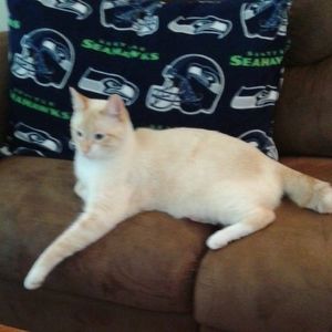 Meet your Posher, Carole